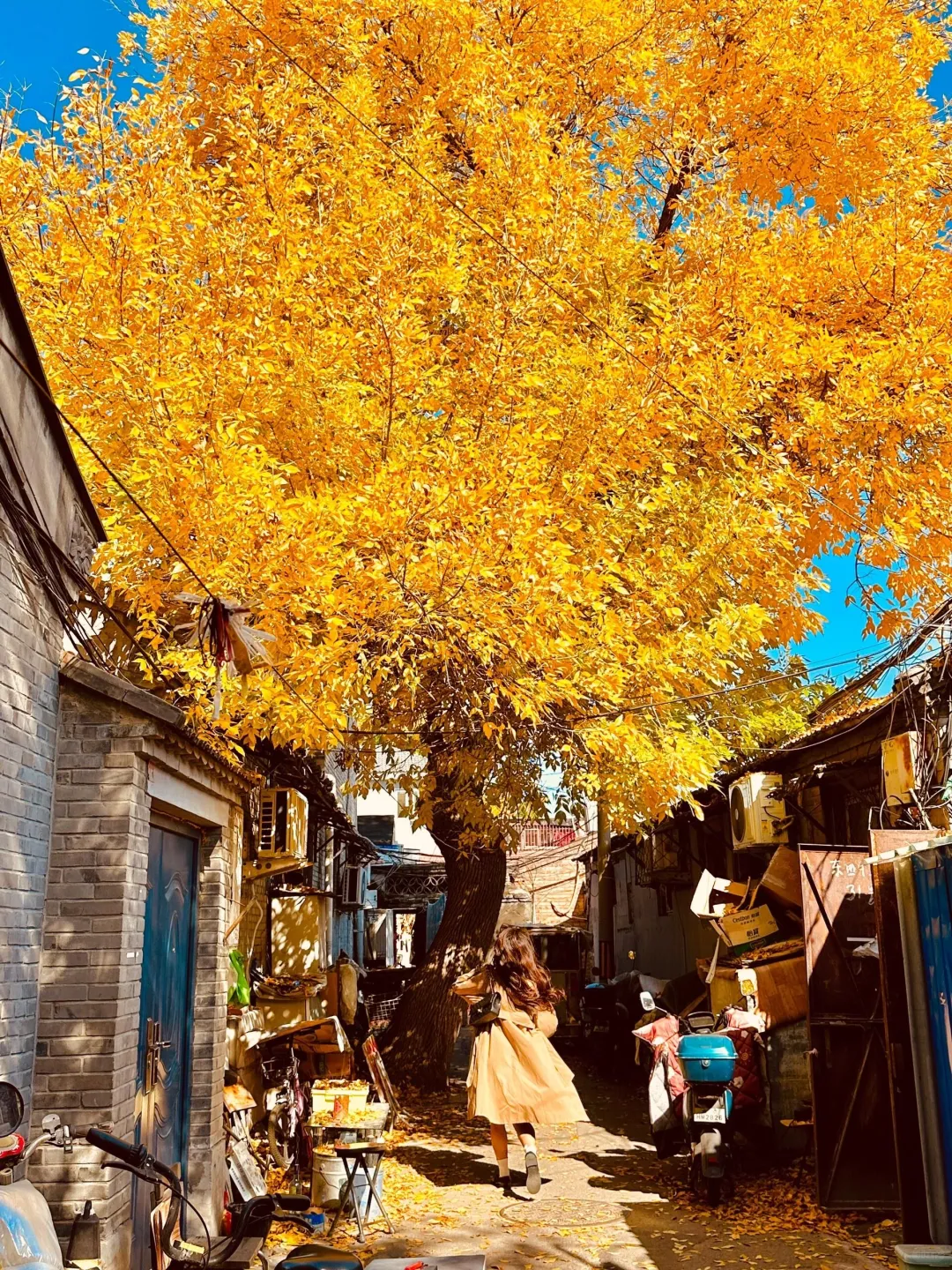 🍂 北京10大赏秋景点全景清单