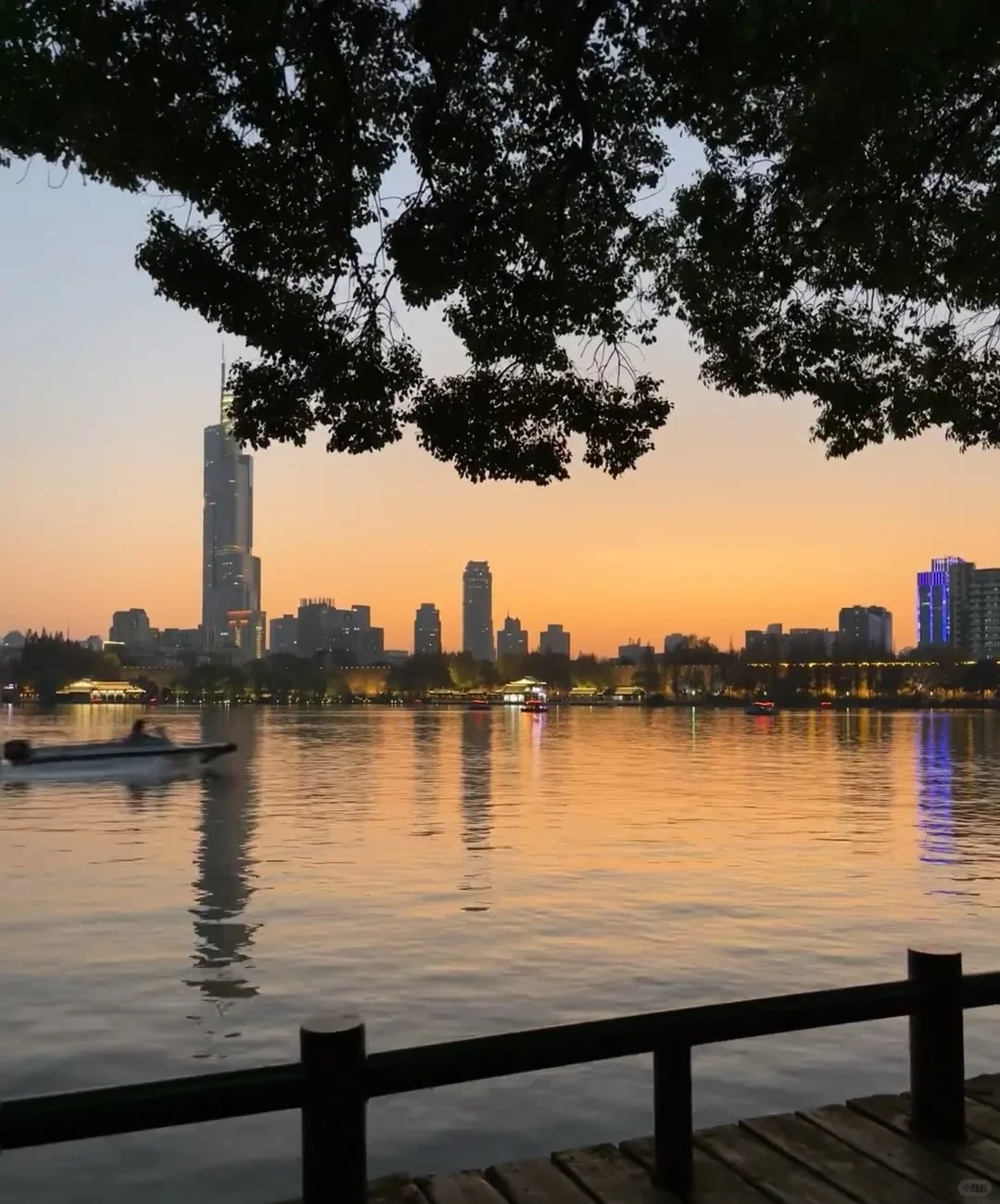 接下来的南京将是秋季旅游的天花板🤩