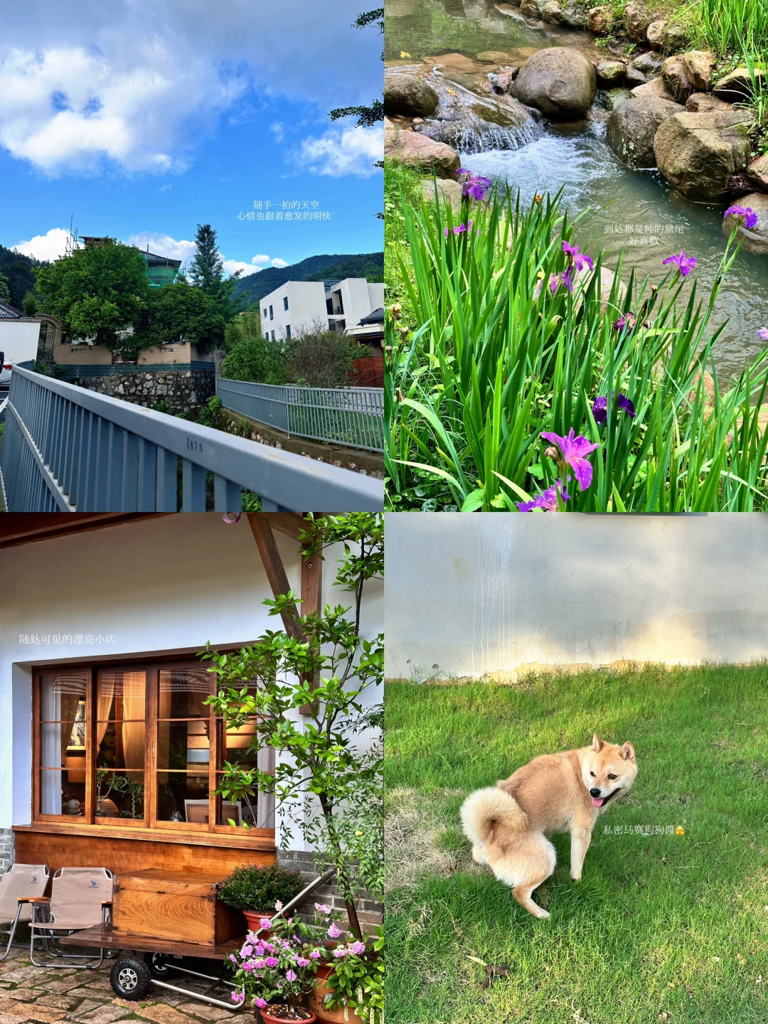 被景德镇硬控的两天（舒适完整版）👈🏻