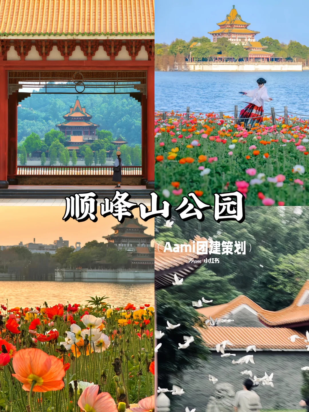 顺德周末好去处｜九大必打卡景点🔥超全攻略