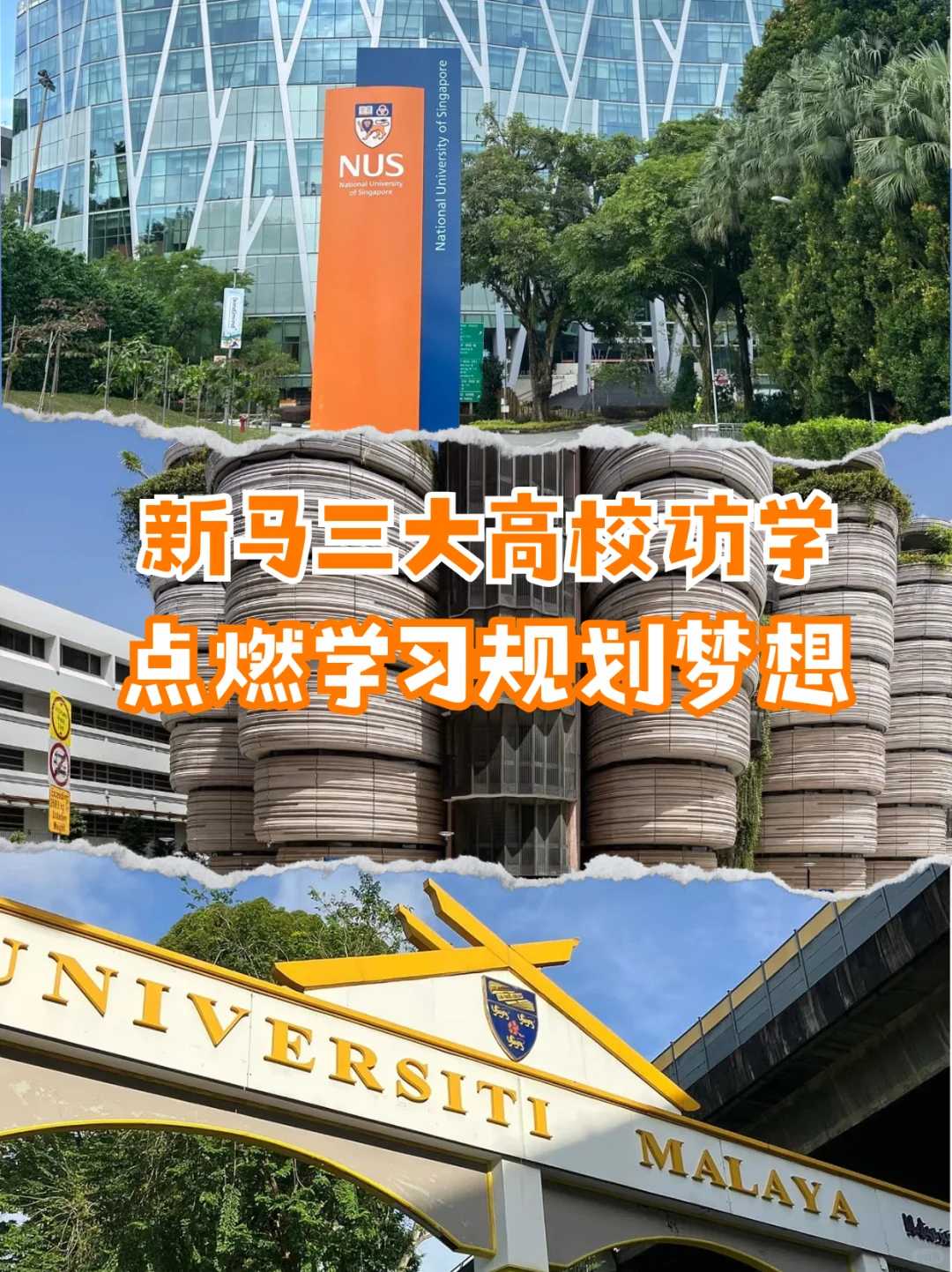 2W+一价全含❗8天玩转新马双国+经典IP畅玩