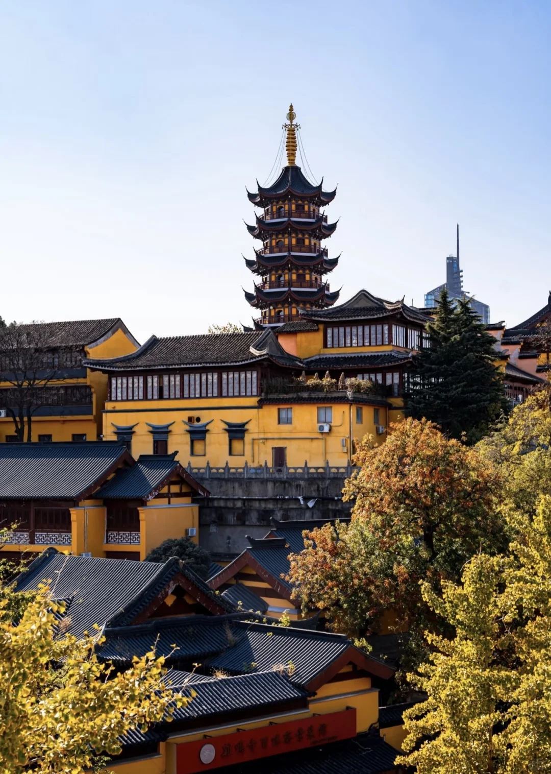 接下来的南京将是秋季旅游的天花板🤩