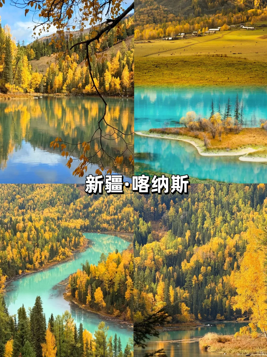 【10-11月国内旅行天花板】最后一个绝
