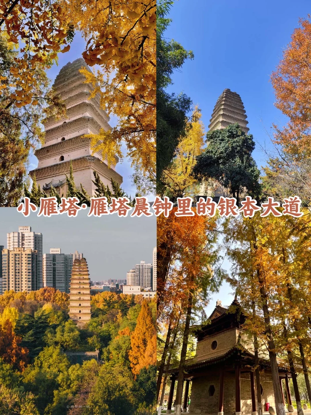 西安citywalk🍁赏秋攻略 漫步城根巷陌间