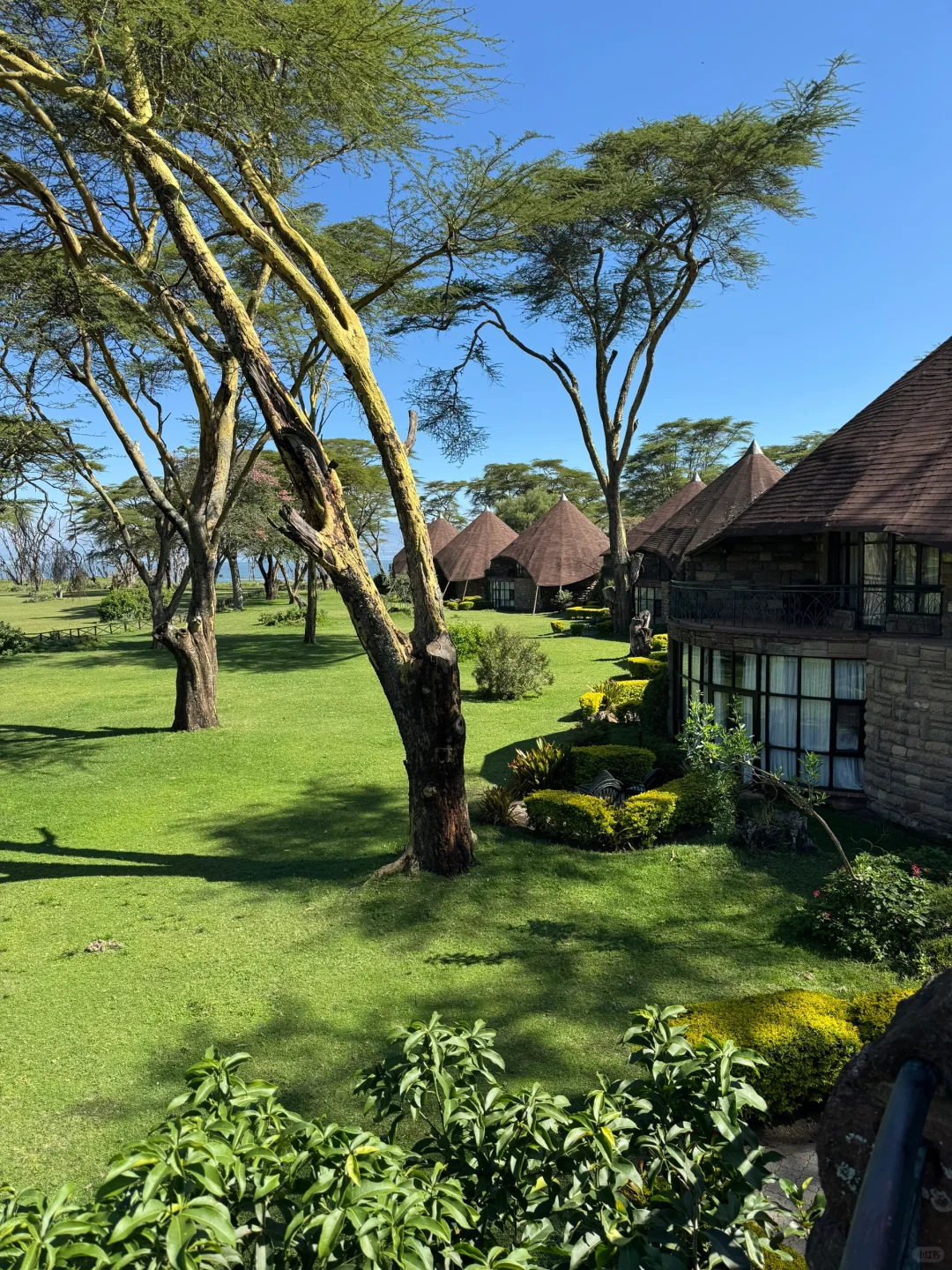 疯狂Kenya！🇰🇪