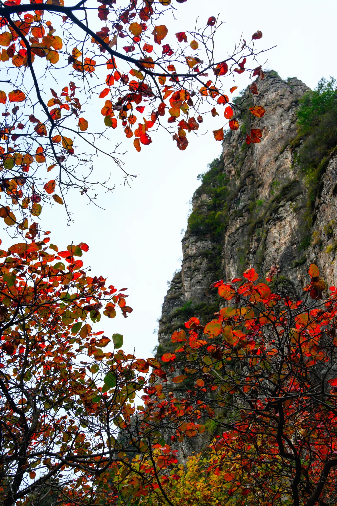 保定周边徒步天花板!蚕姑坨这趟值的二刷