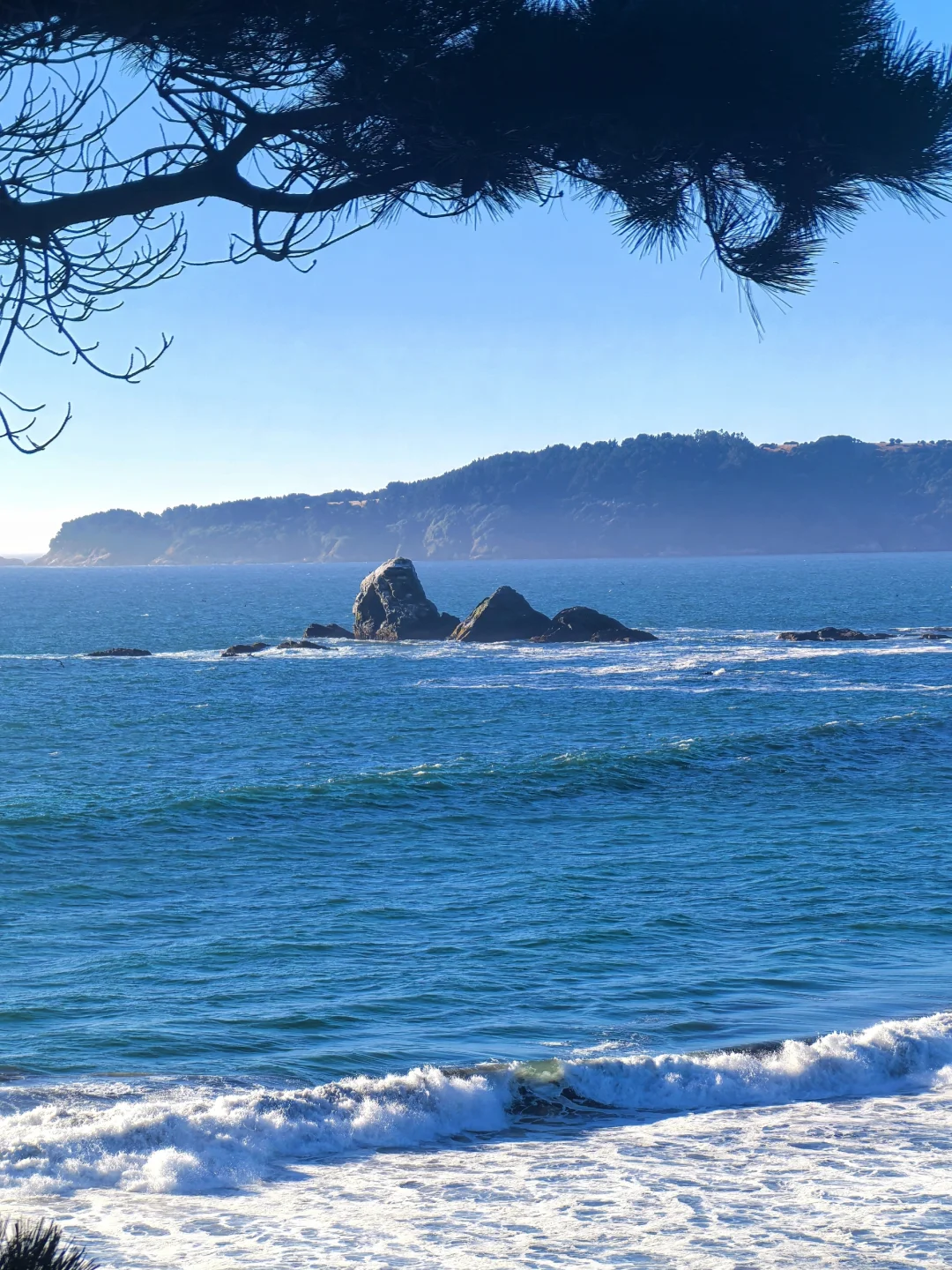 🇨🇱智利-康塞普西翁Concepción