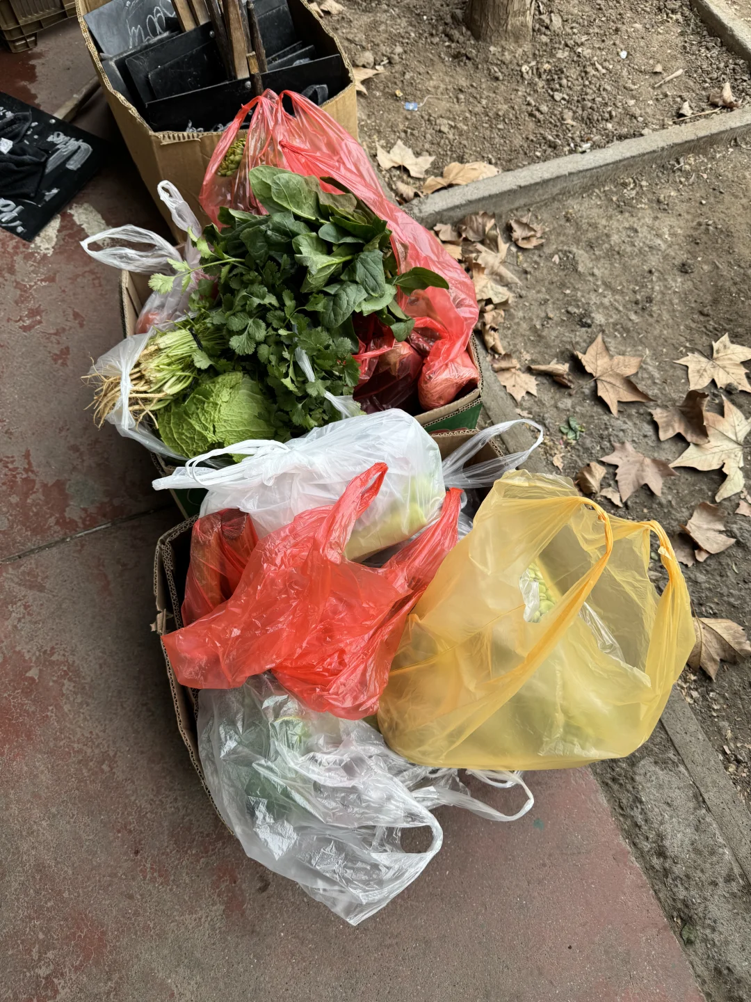 🇨🇱智利东区别再去超市买菜和水果了❗来这