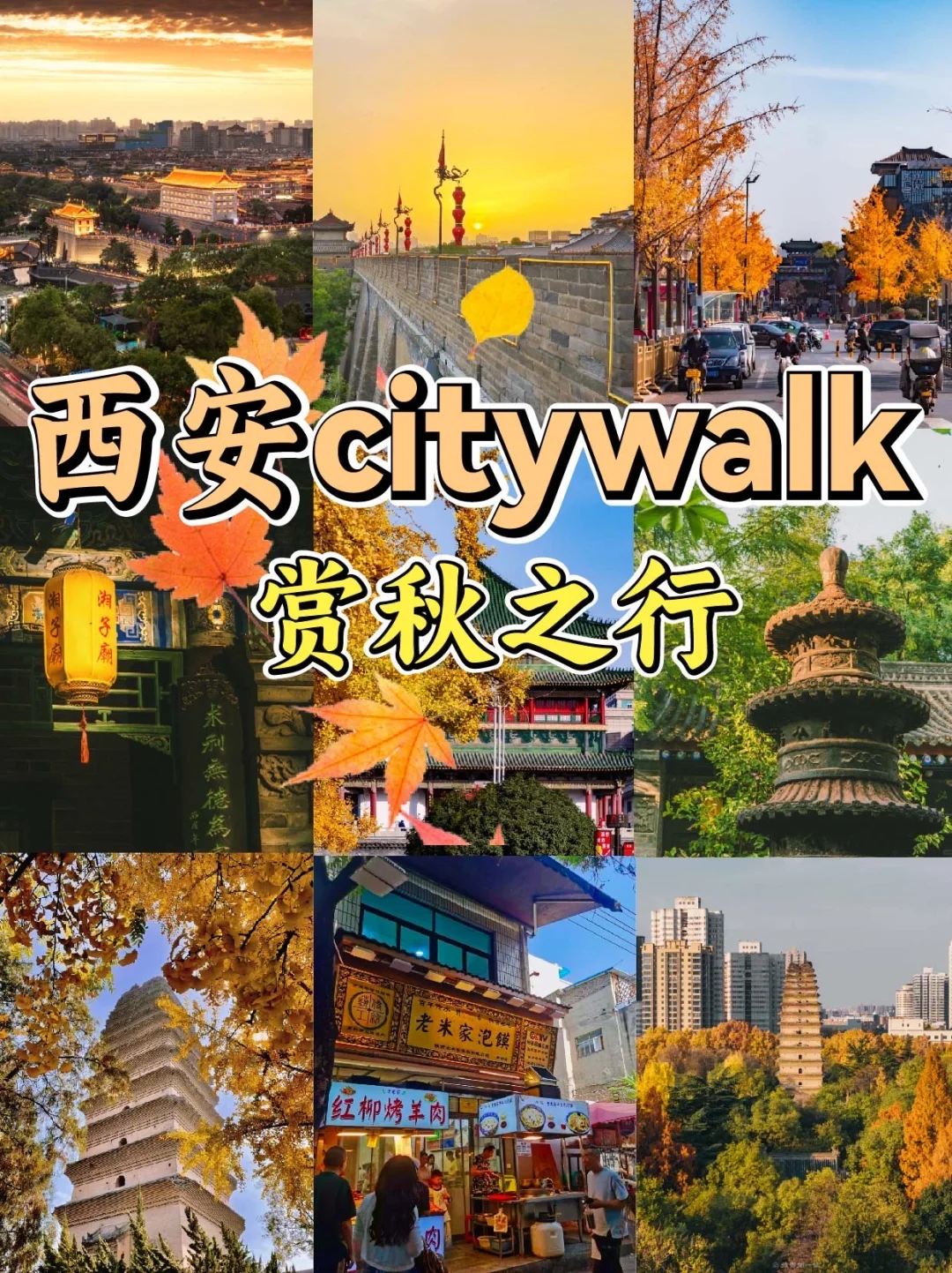 西安citywalk🍁赏秋攻略 漫步城根巷陌间