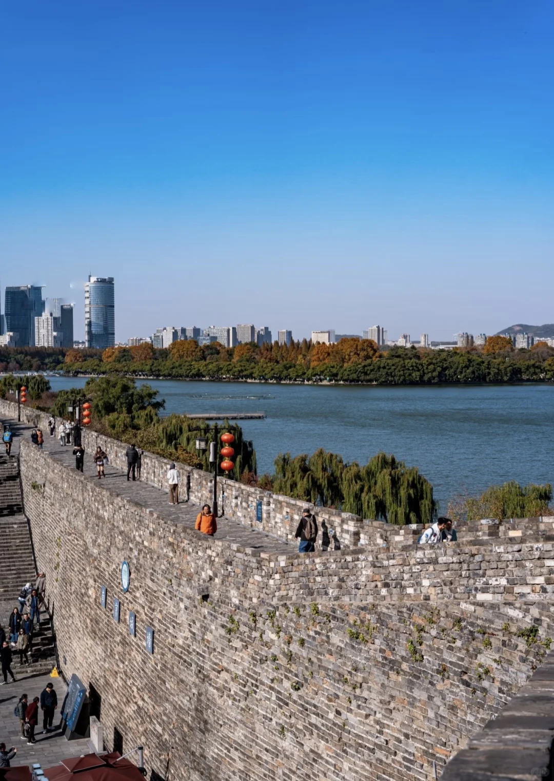 接下来的南京将是秋季旅游的天花板🤩