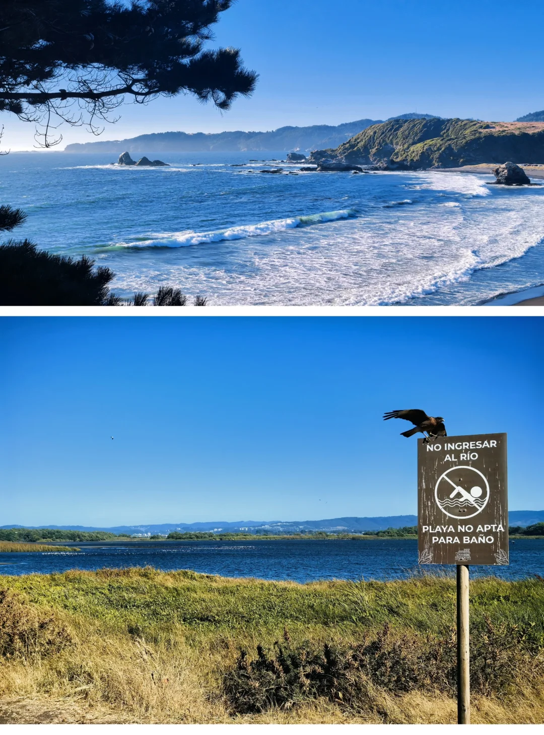 🇨🇱智利-康塞普西翁Concepción