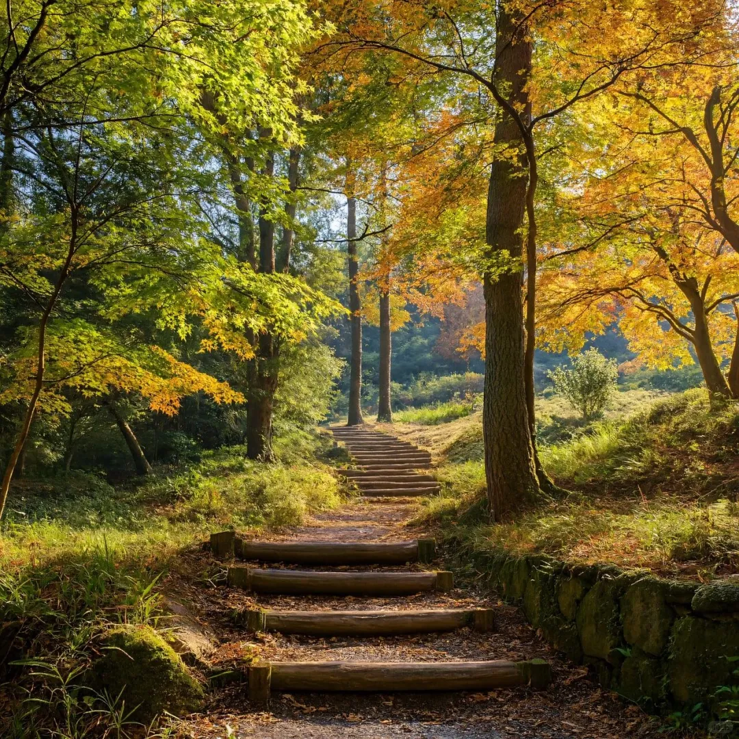 国内八座适合秋天🍂旅行的城市(附时间