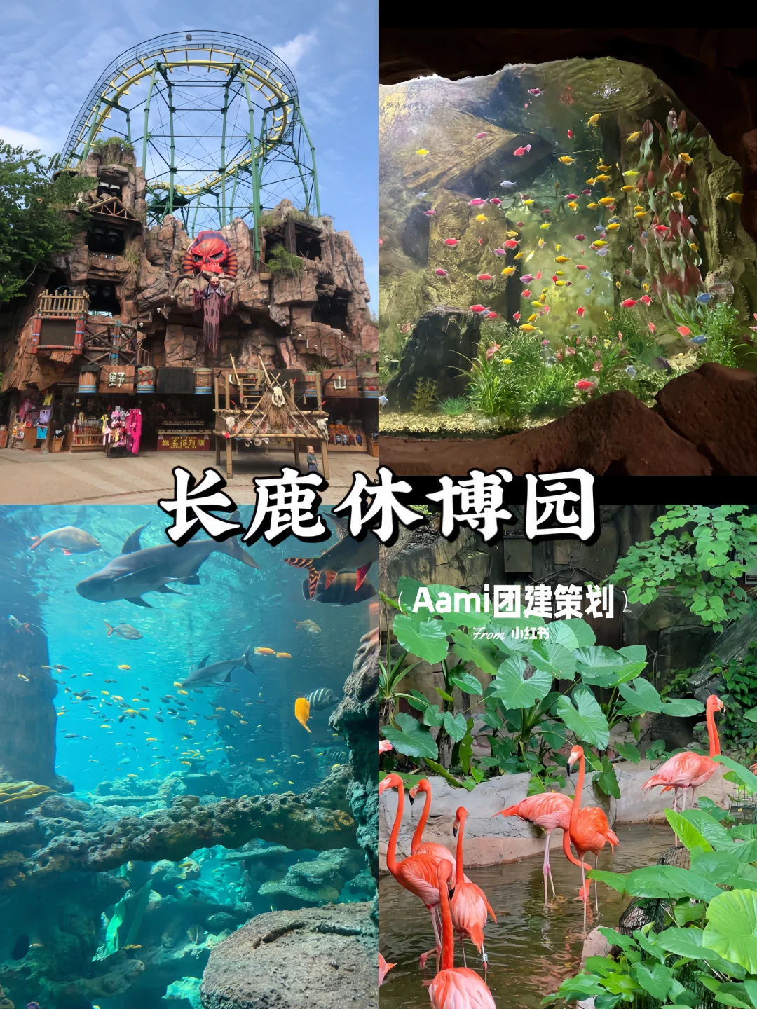 顺德周末好去处｜九大必打卡景点🔥超全攻略