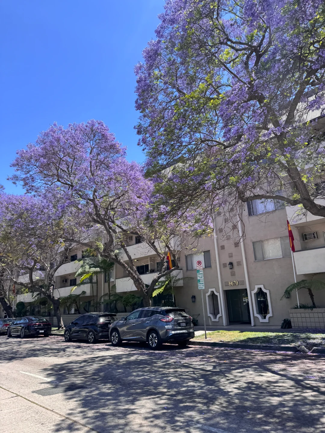 🇺🇸号称世界上z贵的一条街 比弗利山庄🌆