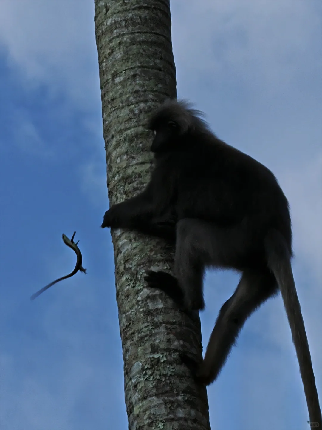 又到了槟城最佳旅游季节!