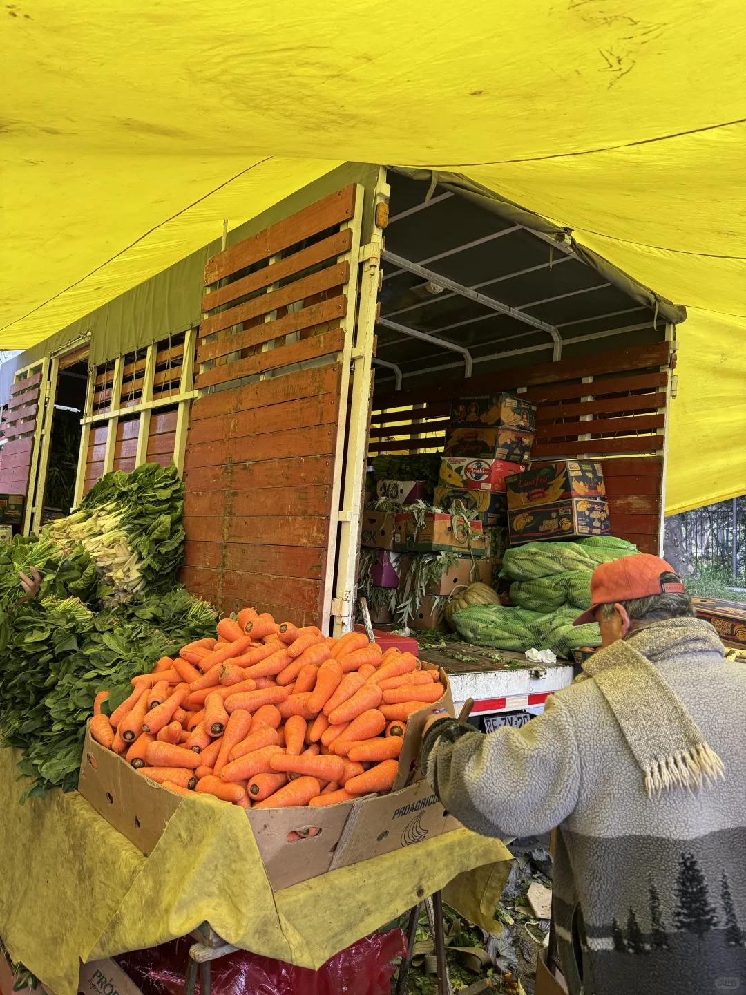 🇨🇱智利东区别再去超市买菜和水果了❗来这