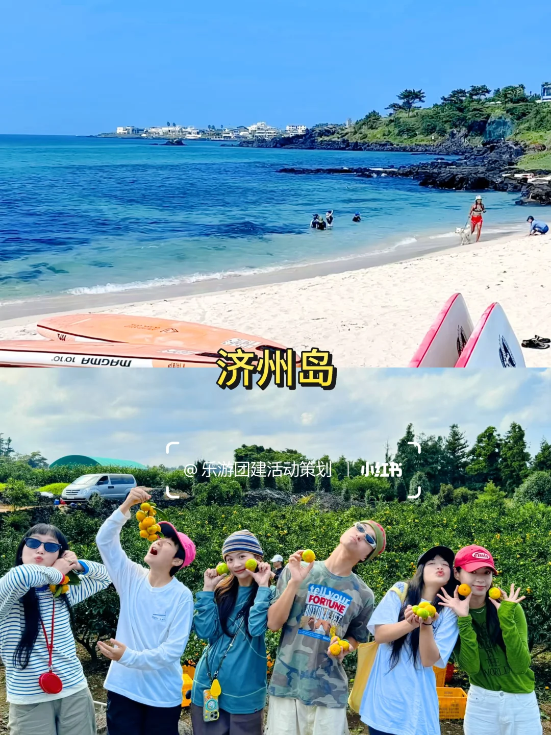 夏季必冲！国内外热门海岛团建大合集 🌞