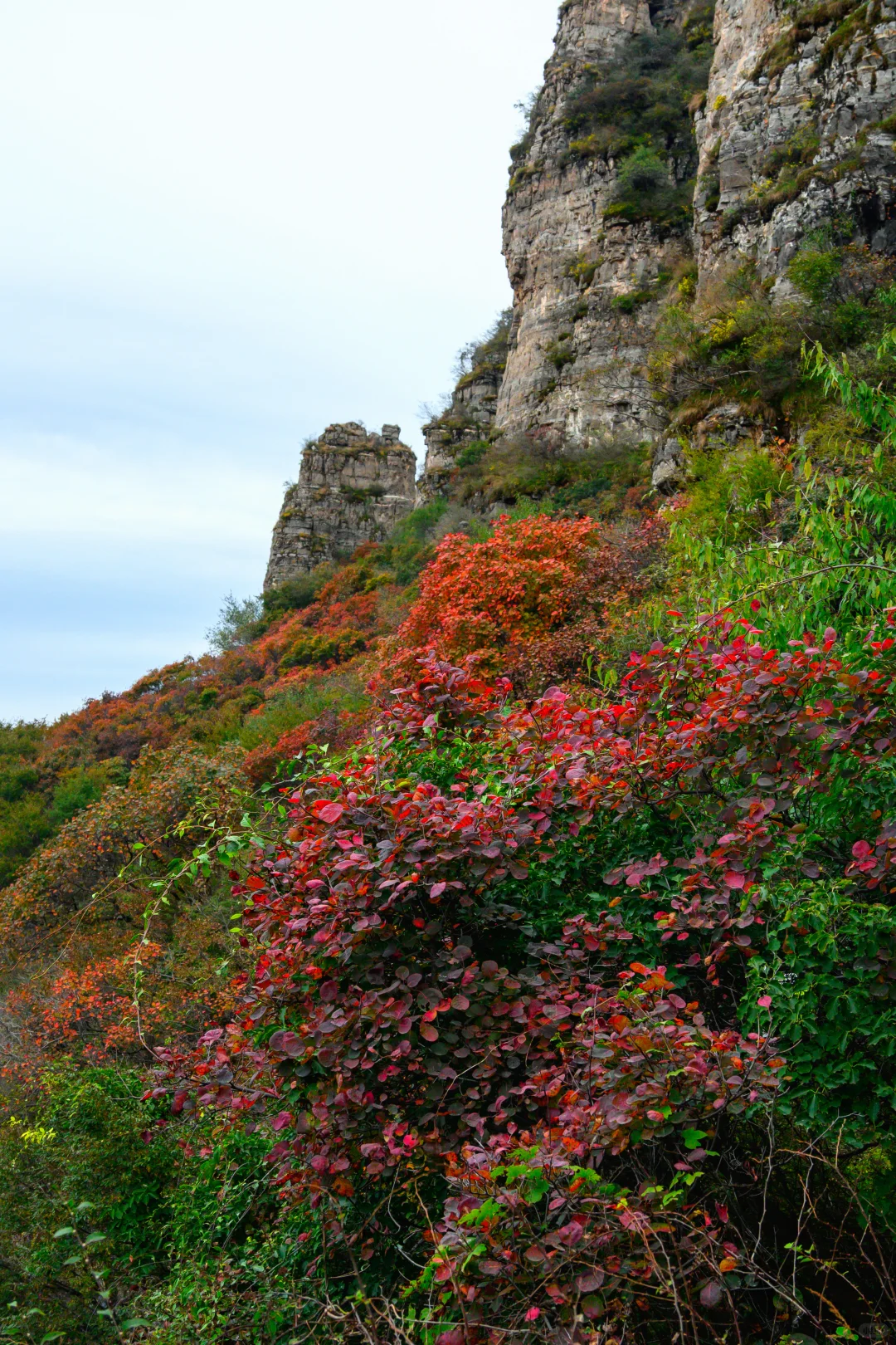保定周边徒步天花板!蚕姑坨这趟值的二刷