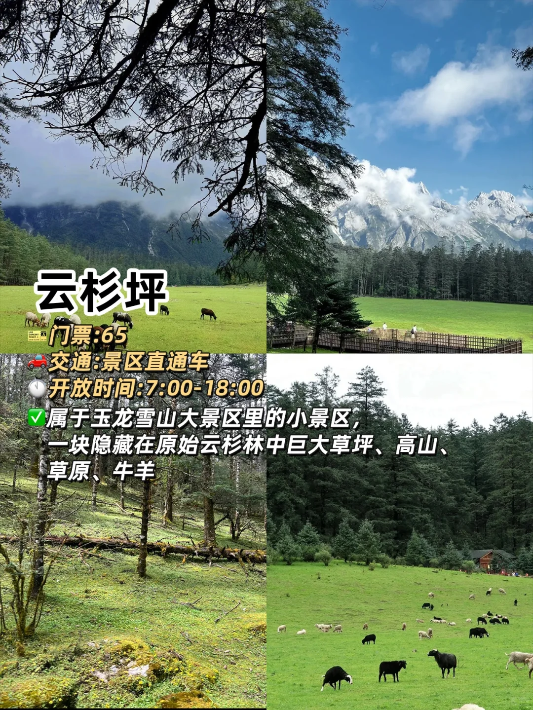 刚从丽江回来⛰总结出的九大必去景点