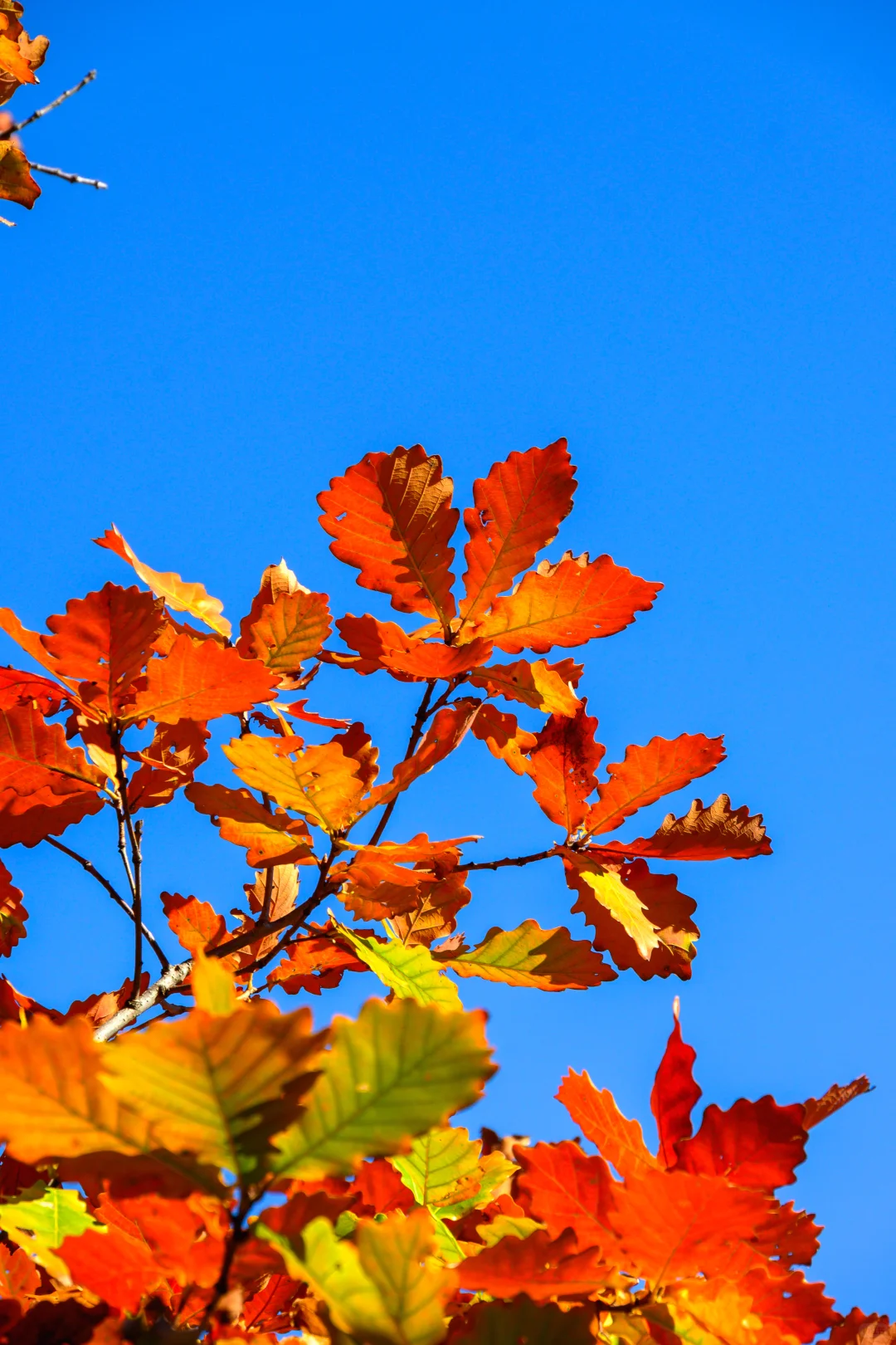 保定周边徒步天花板!蚕姑坨这趟值的二刷