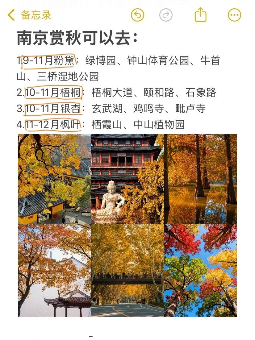 南京旅游一些真实感受…(纯个人主观)