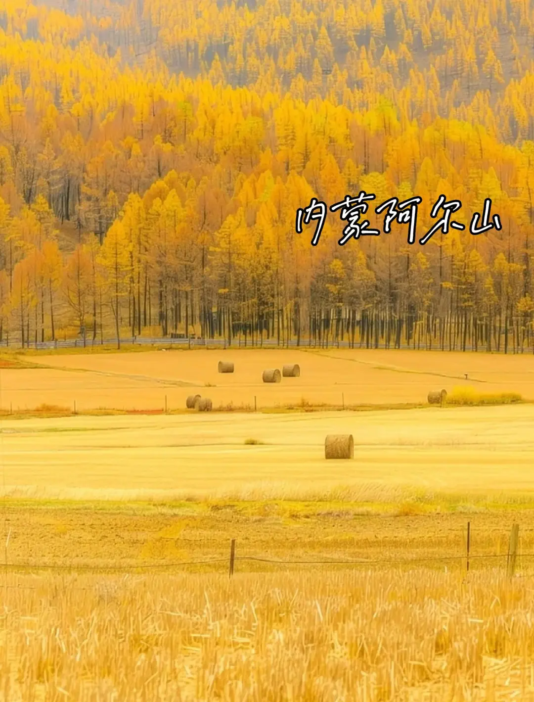 推荐8个✅适合9-11月去的封神赏秋地🍂