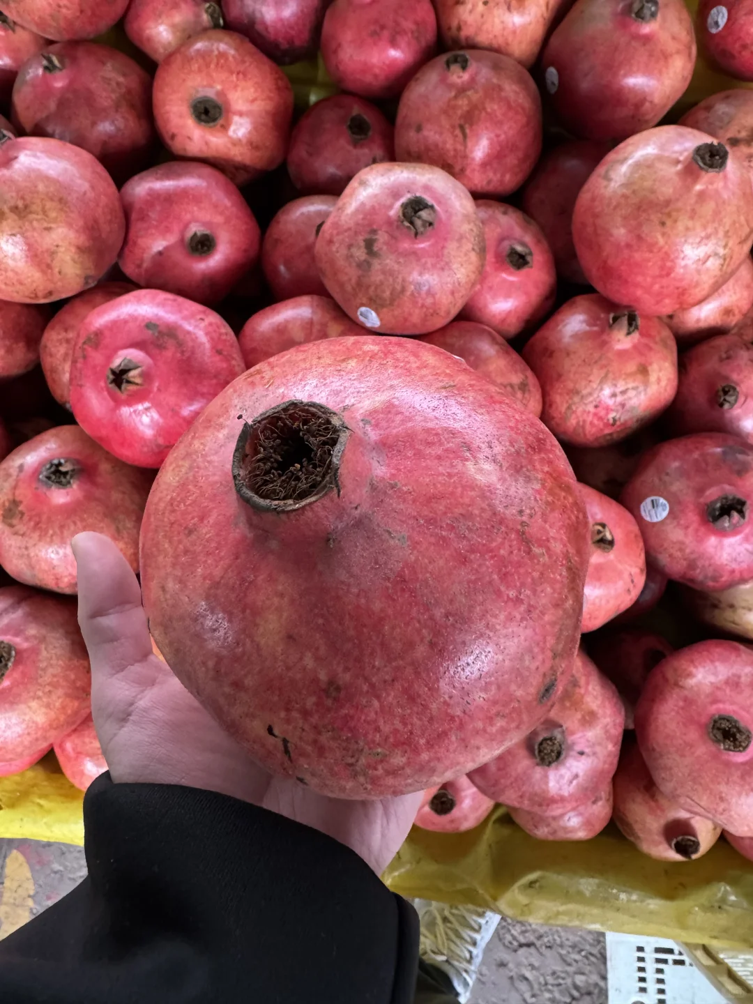 🇨🇱智利东区别再去超市买菜和水果了❗来这