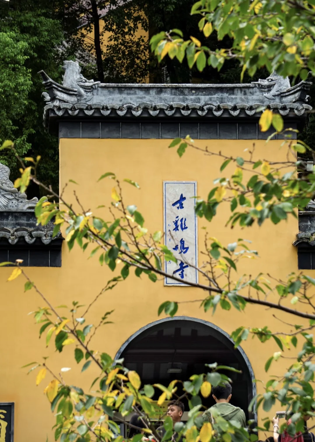接下来的南京将是秋季旅游的天花板🤩