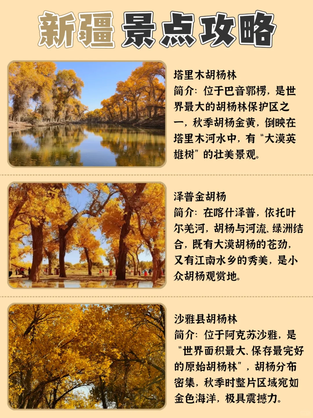 新疆旅游攻略|景点+美食全收录✨