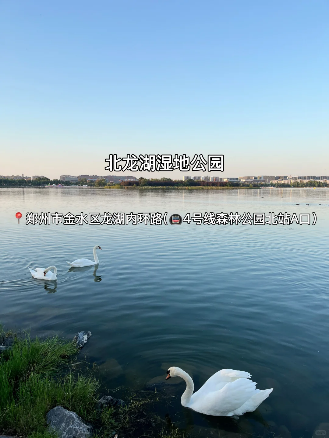 一天逛完8个热门景点！！郑州旅游（特种兵版