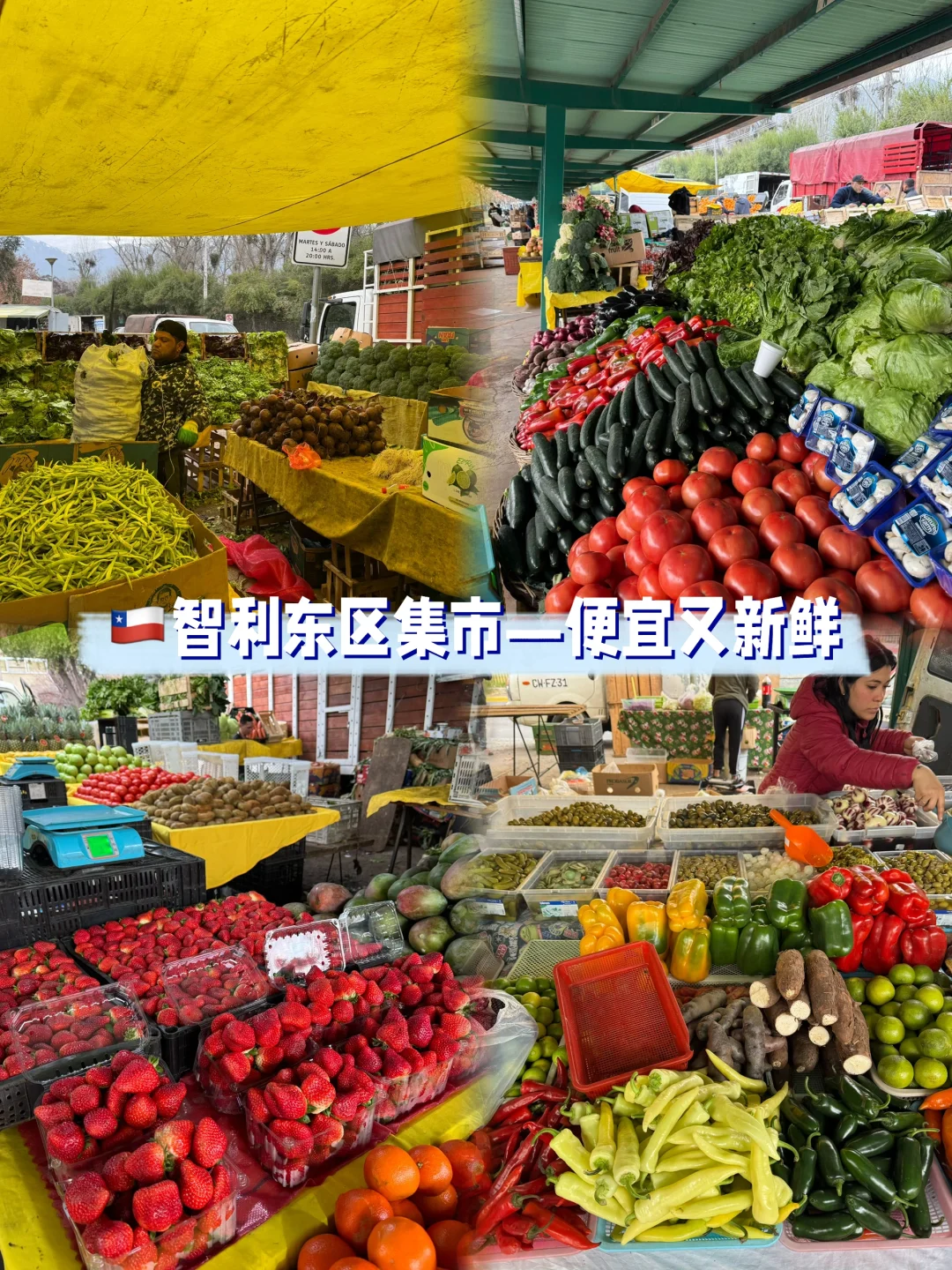 🇨🇱智利东区别再去超市买菜和水果了❗来这