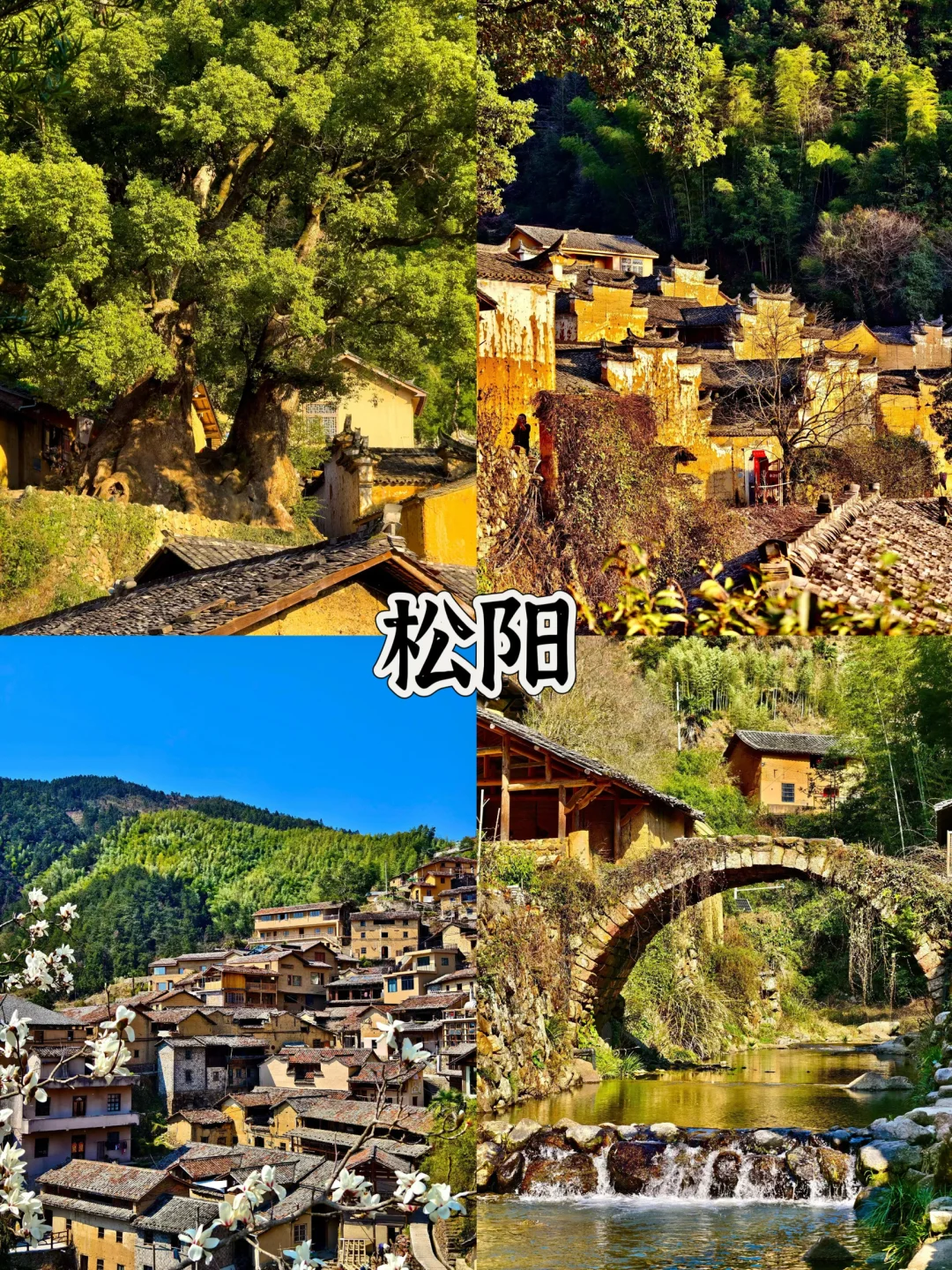 爸妈出门不喊累,4个超舒适景点,少走路慢节奏