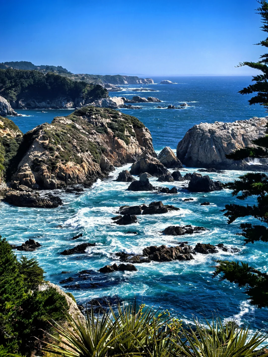 🇨🇱智利-康塞普西翁Concepción