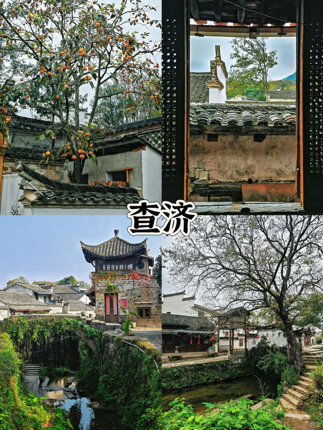 爸妈出门不喊累,4个超舒适景点,少走路慢节奏