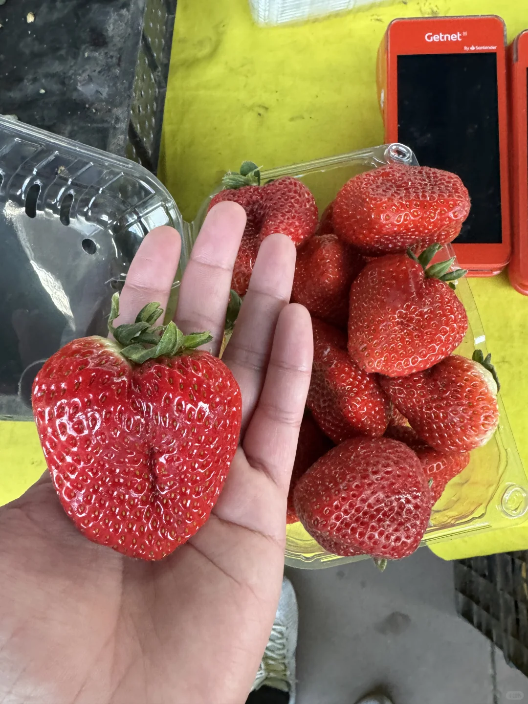 🇨🇱智利东区别再去超市买菜和水果了❗来这