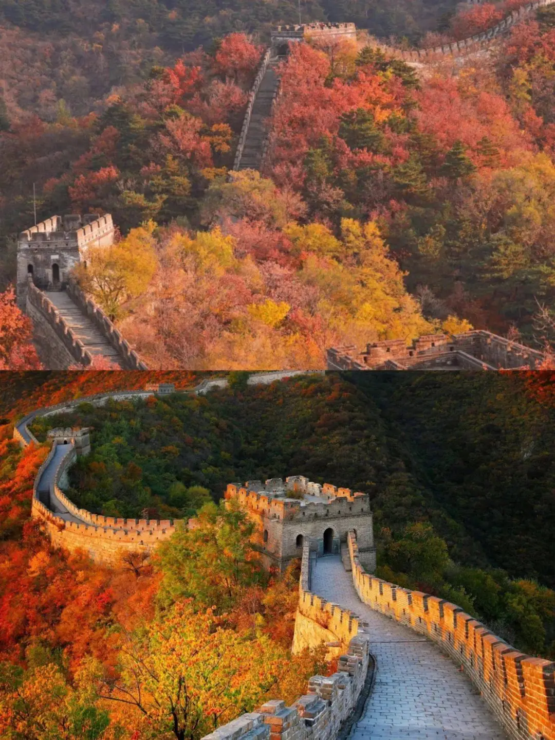 🍂 北京10大赏秋景点全景清单