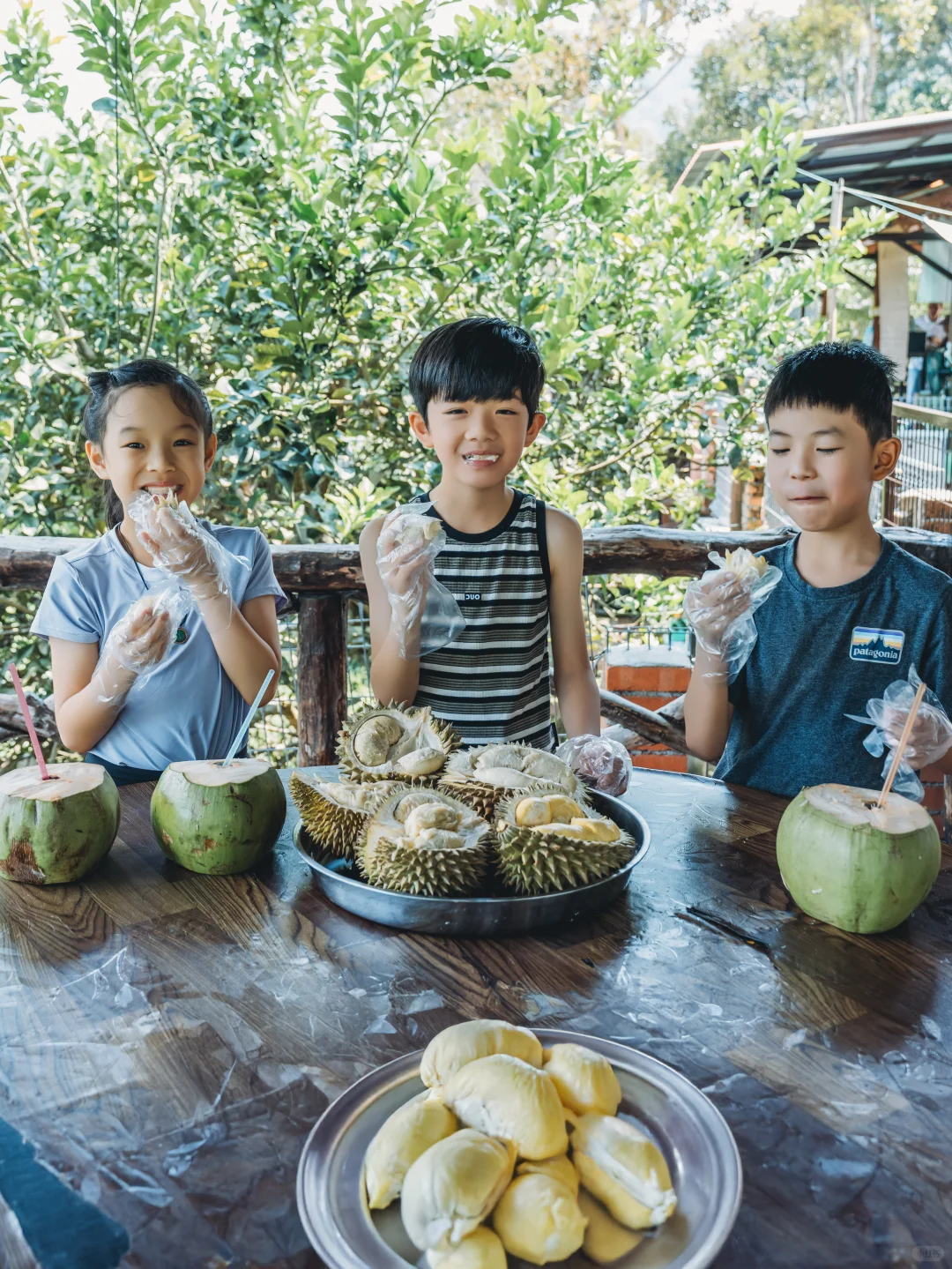 又到了槟城最佳旅游季节!