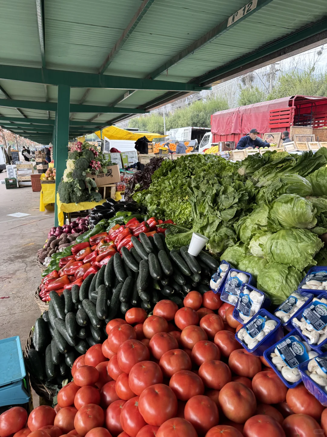 🇨🇱智利东区别再去超市买菜和水果了❗来这
