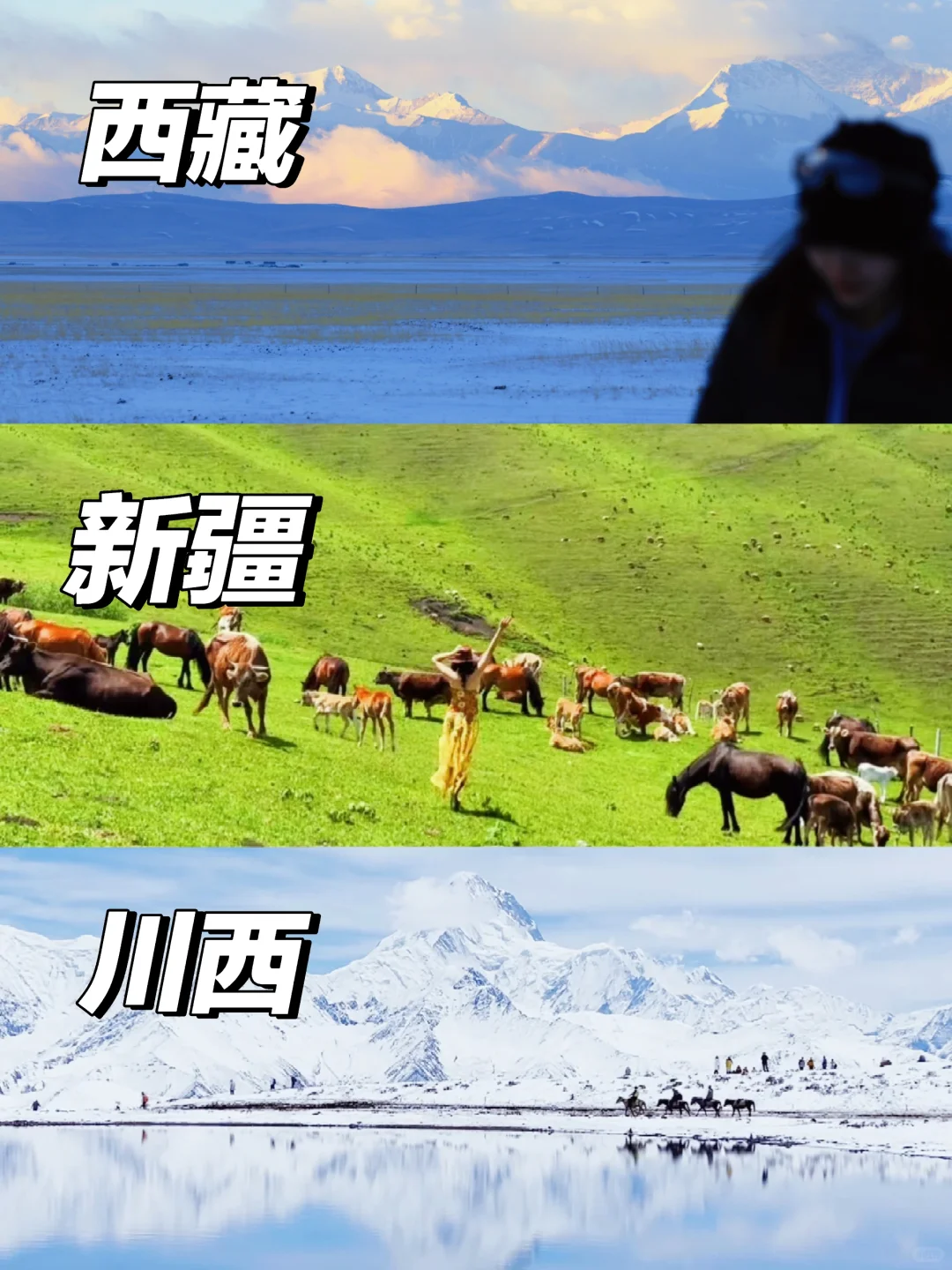 怎么选?谈谈国内三大天花板的个人感受