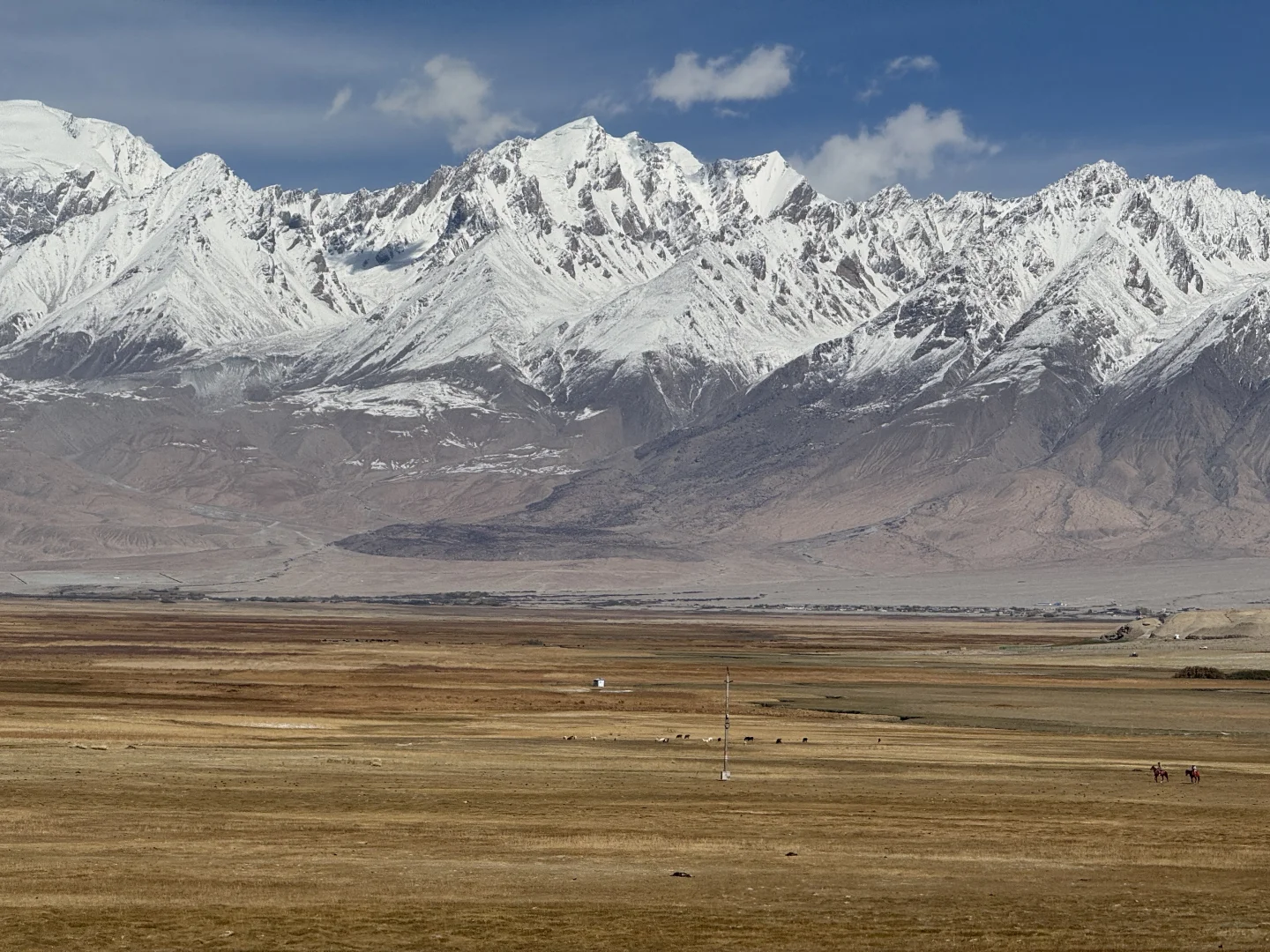 为什么经常国外旅行的我,今年长假都选国内