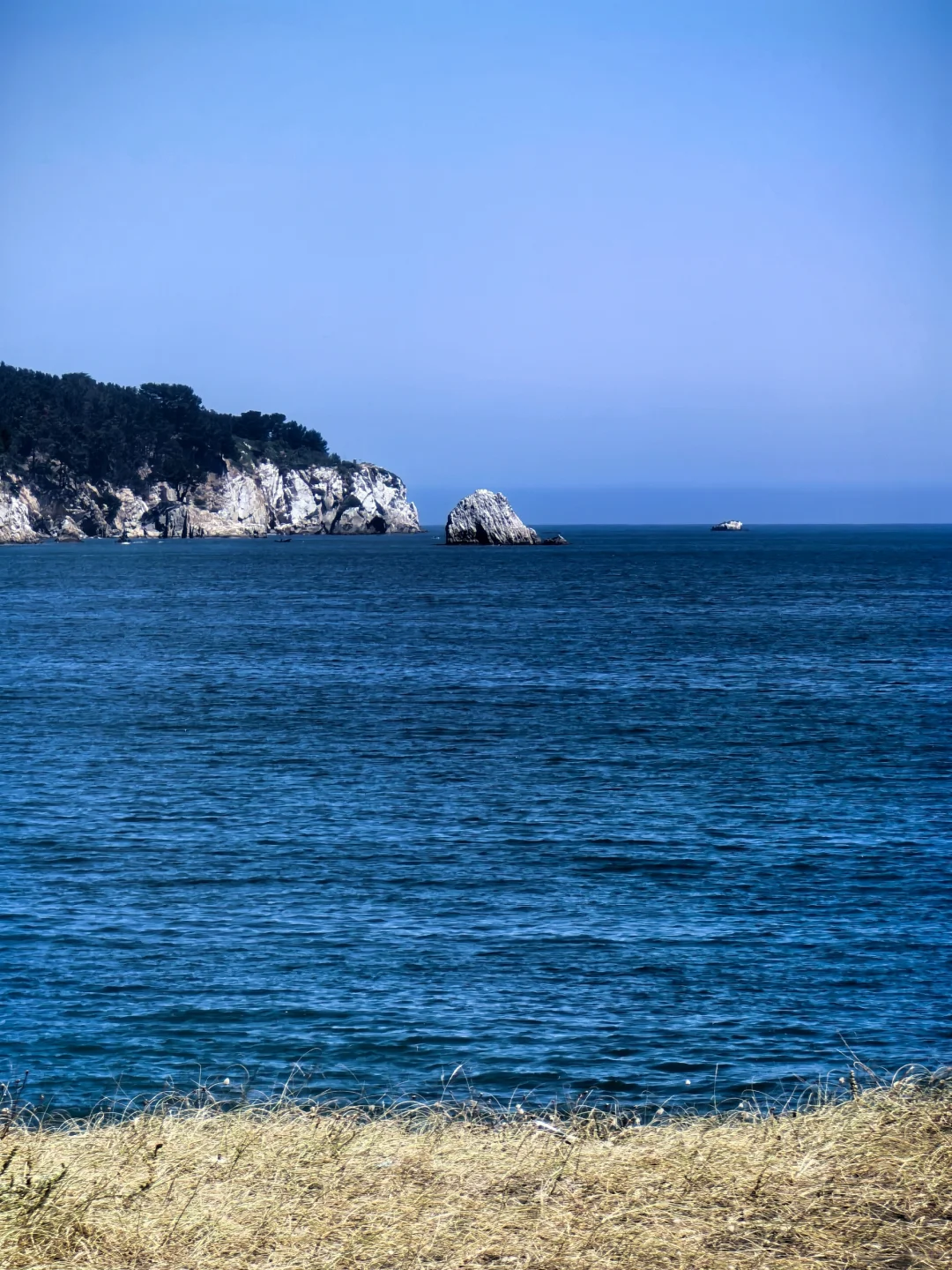 🇨🇱智利-康塞普西翁Concepción