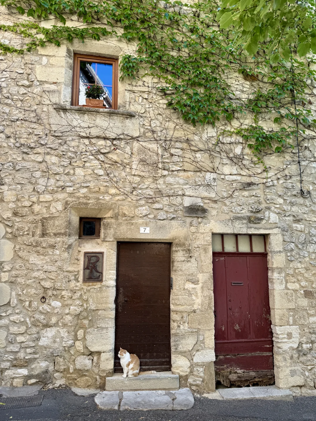 一个人旅行🇫🇷一年飞了两次南法，后劲好大