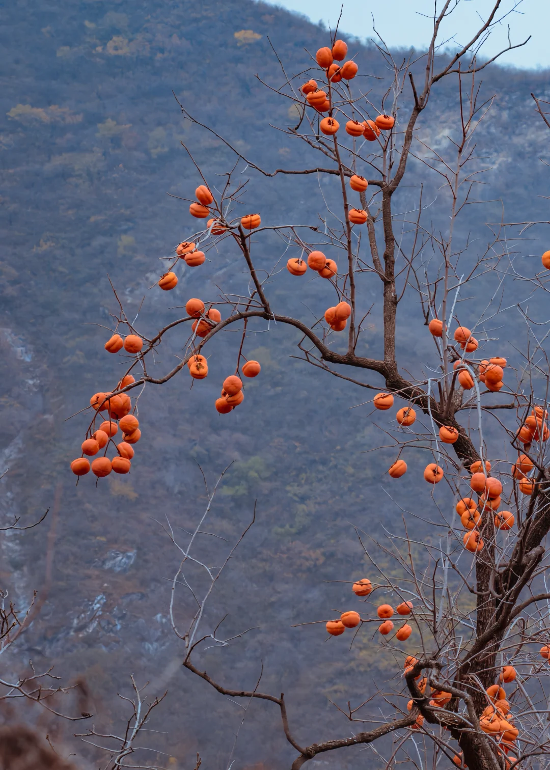 保定周边徒步天花板!蚕姑坨这趟值的二刷