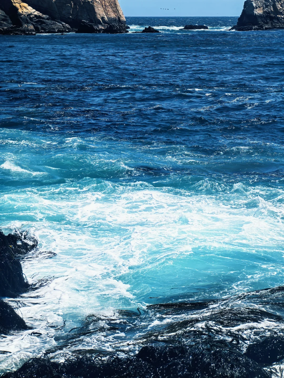 🇨🇱智利-康塞普西翁Concepción