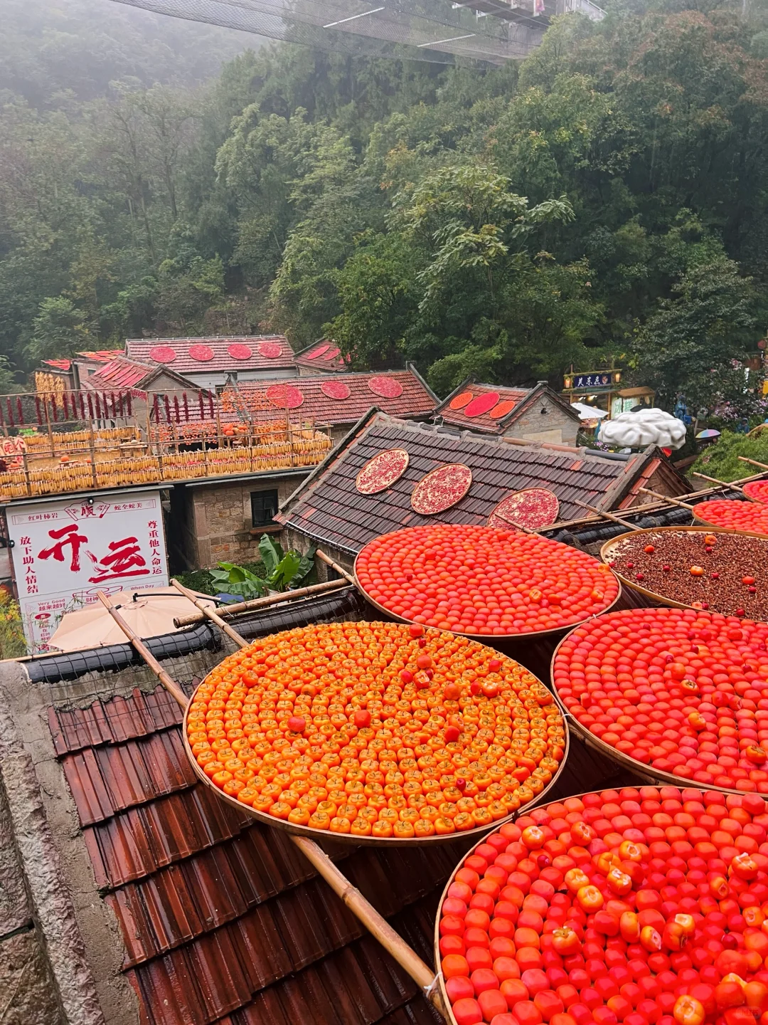 不用远赴婺源，也能get同款晒秋了🍂