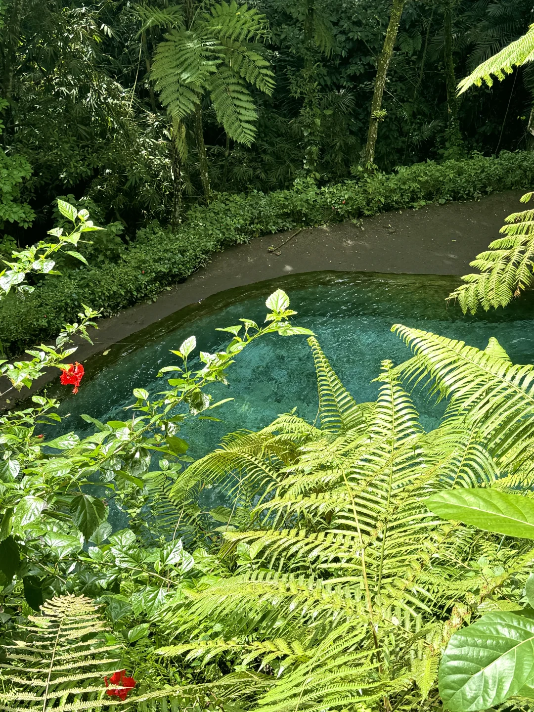 巴厘岛泗水|7天全方位攻略🇮🇩