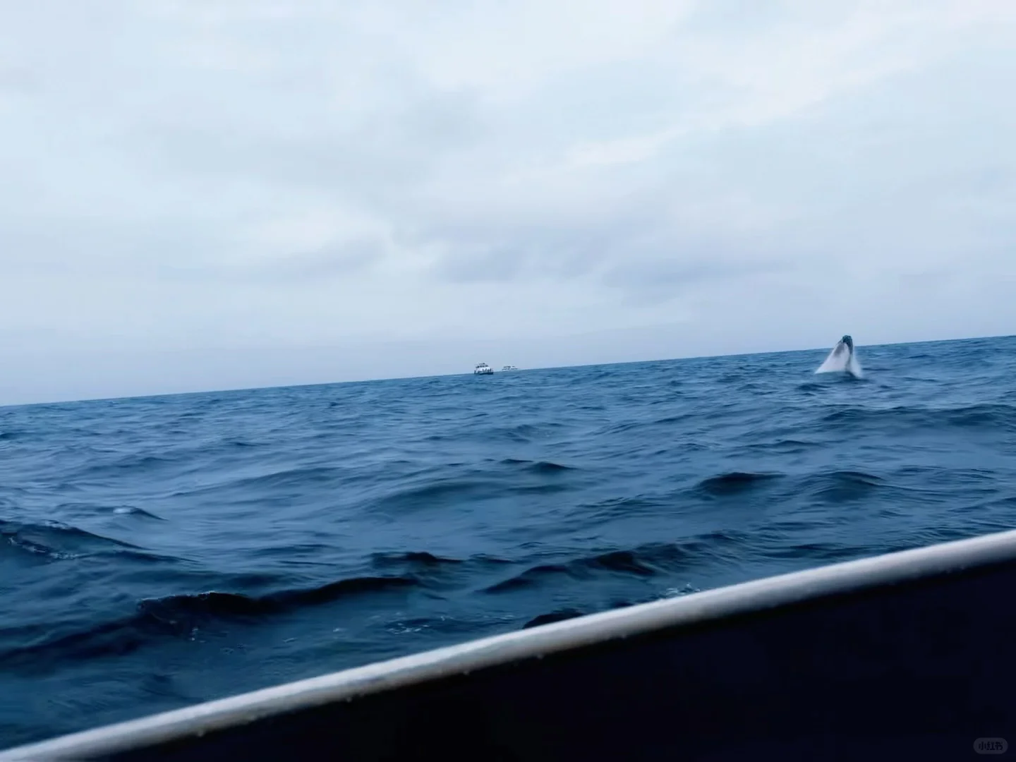 澳洲旅行11天10晚花费