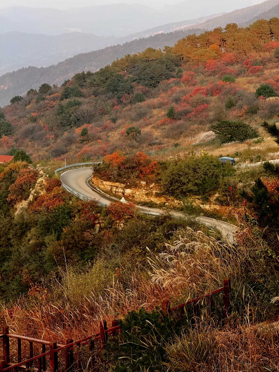 此刻！嵩山已漫山红遍🍁免费赏红叶路线