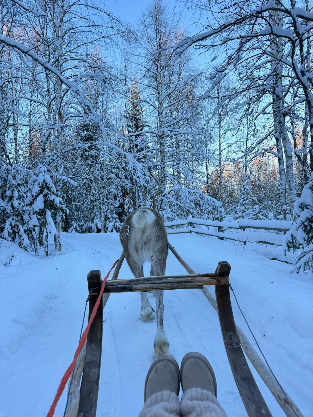 是专属于北欧的livephoto 🥂