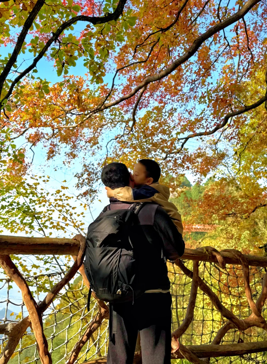 西安🚗1h,带娃去看秋景,黄金瀑布,美翻了